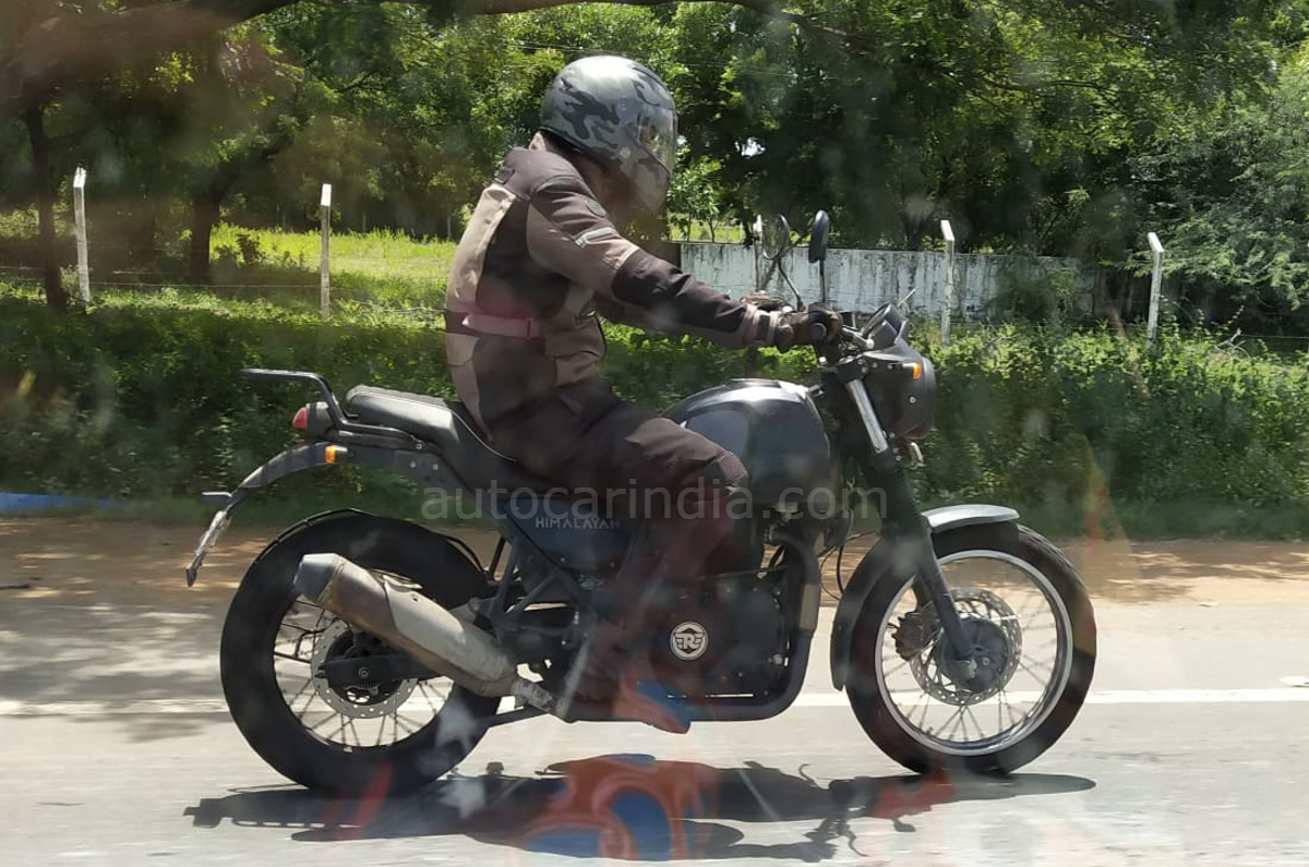 New RE Himalayan variant spotted testing again - Image 1